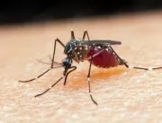 China erradica malária depois de 70 anos de luta c