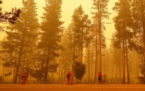 Estados Unidos: Incêndio na Califórnia queima 550 