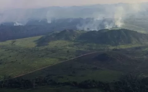 Pará é o 2º do Brasil que mais queimou em 36 anos 