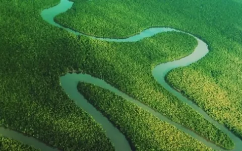 COP 26: Pará apresenta Selo Verde para comunidade 