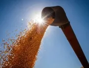Conab: safra de grãos pode chegar a 291,1 milhões 