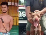 Homem corta focinho de cão do vizinho no Marajó 
