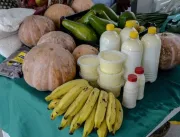 Agricultura familiar combate insegurança alimentar