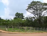 Em Canaã dos Carajás, 110 hectares de área verde s