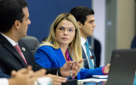 Gaby Ronalsa lamenta veto do prefeito JHC ao PL qu