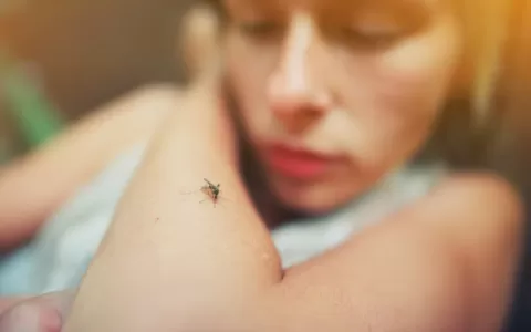 Dengue: doença com história milenar ainda é um des