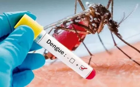 ​Minas Gerais confirma primeira morte por dengue e
