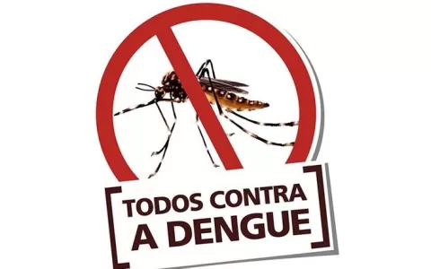 Surto de Dengue: Como se prevenir e combater a pro