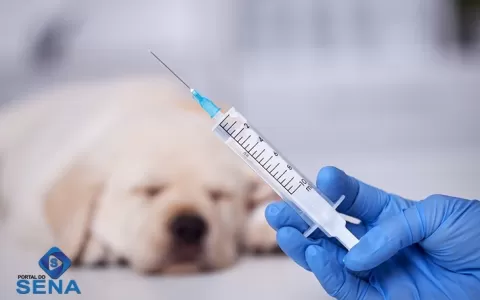 FVS alerta para a importância de vacinar cães e ga