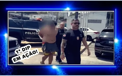 Policiais do 1º DIP prendem indivíduo que particip