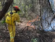Soltura de balão agrava risco de incêndios florest