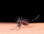 Epidemia de dengue se alastra no Rio de Janeiro 