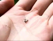 Serrolândia registra os primeiros casos de dengue 