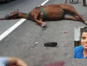Tanquinho – Homem e cavalo morrem atropelados na B