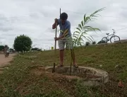 Vereador Marcinho de Sinhó planta palmeiras as mar