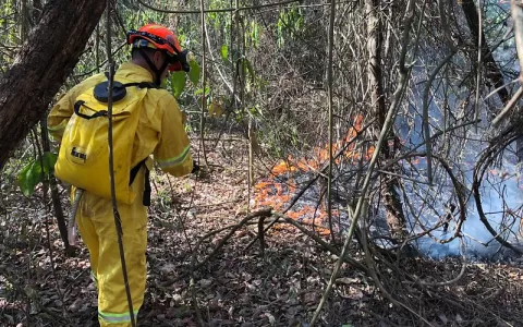 Soltura de balão agrava risco de incêndios florest