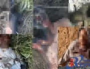 Chacina em Maiquinique-BA: Cinco corpos são encont