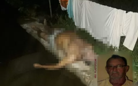 Idoso de 73 anos morre afogado em Palmeirinha de J