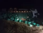 Caminhão carregado com abacate capota entre Capim 