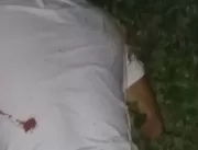 Homem é morto a tiros no município de Várzea da Ro