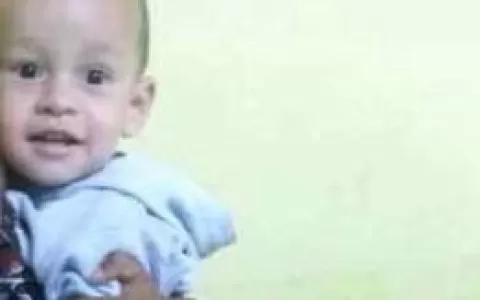 Menino de 1 ano e 6 meses morre após ser picado po