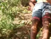 Homem morre após cair de pé de manga no município 