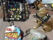 Carnaval: cadela encontra drogas com dois ambulant