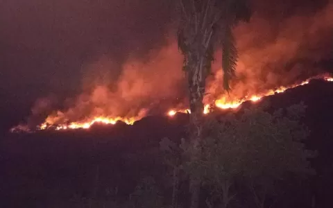 Incêndio devasta a vegetação na região da Grota do