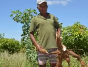 Assentamento em Sobradinho investe na produção agr