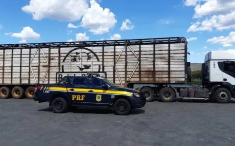 PRF flagra transporte irregular de cargas no oeste