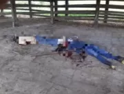 Vaqueiro mata o patrão e comete suicídio em Iguaí