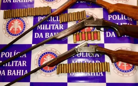 Policiais apreendem quatro armas de fogo em Paulo 