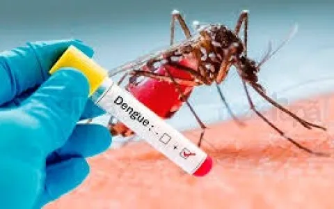 Criança de 7 anos morre vítima de dengue hemorrági