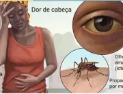 Bahia: Surto de febre amarela faz Sesab recomendar