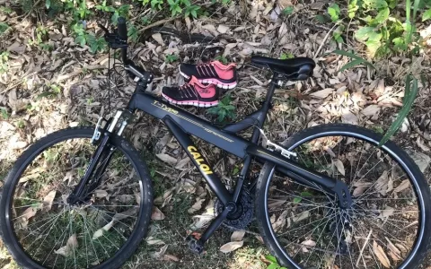 Mulher é encontrada morta ao lado de bicicleta den