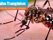 Repúdio sobre fake news a respeito dos mosquitos t