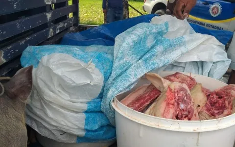 Carga com 140 Kg de carne clandestina transportada