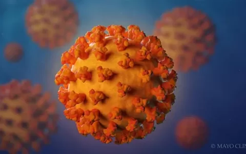 Imunidade contra o coronavírus: tire dúvidas sobre