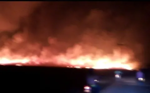 Incêndio atinge vegetação e queima 30 hectares em 