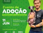 CACHORRÓDROMO® promove evento de adoção pet