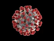 Novo coronavírus chega a 1.546 casos no Brasil e 2