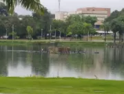 PMJP explica que Lagoa não transbordou com chuvas