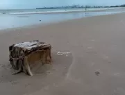 Mais uma caixa misteriosa é encontrada em praia na
