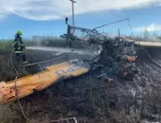Piloto morre carbonizado após avião cair e pegar f