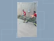 Bombeiros resgatam jiboia com cerca de dois metros