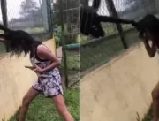 Menina tem cabelo agarrado por macaco após ser pro