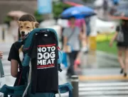Restaurantes vão servir carne de cachorro nas Olim
