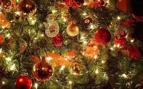 Iluminação de Natal: Energisa dá dicas de seguranç