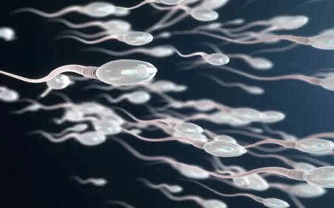 INUSITADO: Doador de esperma é processado após ter