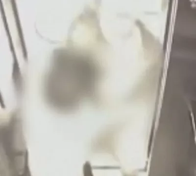 [VÍDEO] Morador denuncia vizinho após ser agredido